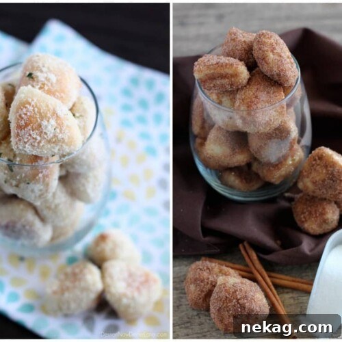 Sweet Cinnamon and Savory Garlic Parmesan Pretzel Bites 9 Garlic Parmesan & Cinnamon Sugar Pretzel Bites