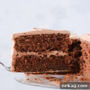 Old Fashioned Chocolate Fudge Cake slice on cake server.