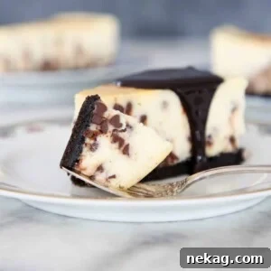 Decadent New York Style Chocolate Chip Cheesecake with an Oreo crust, ready to be served.