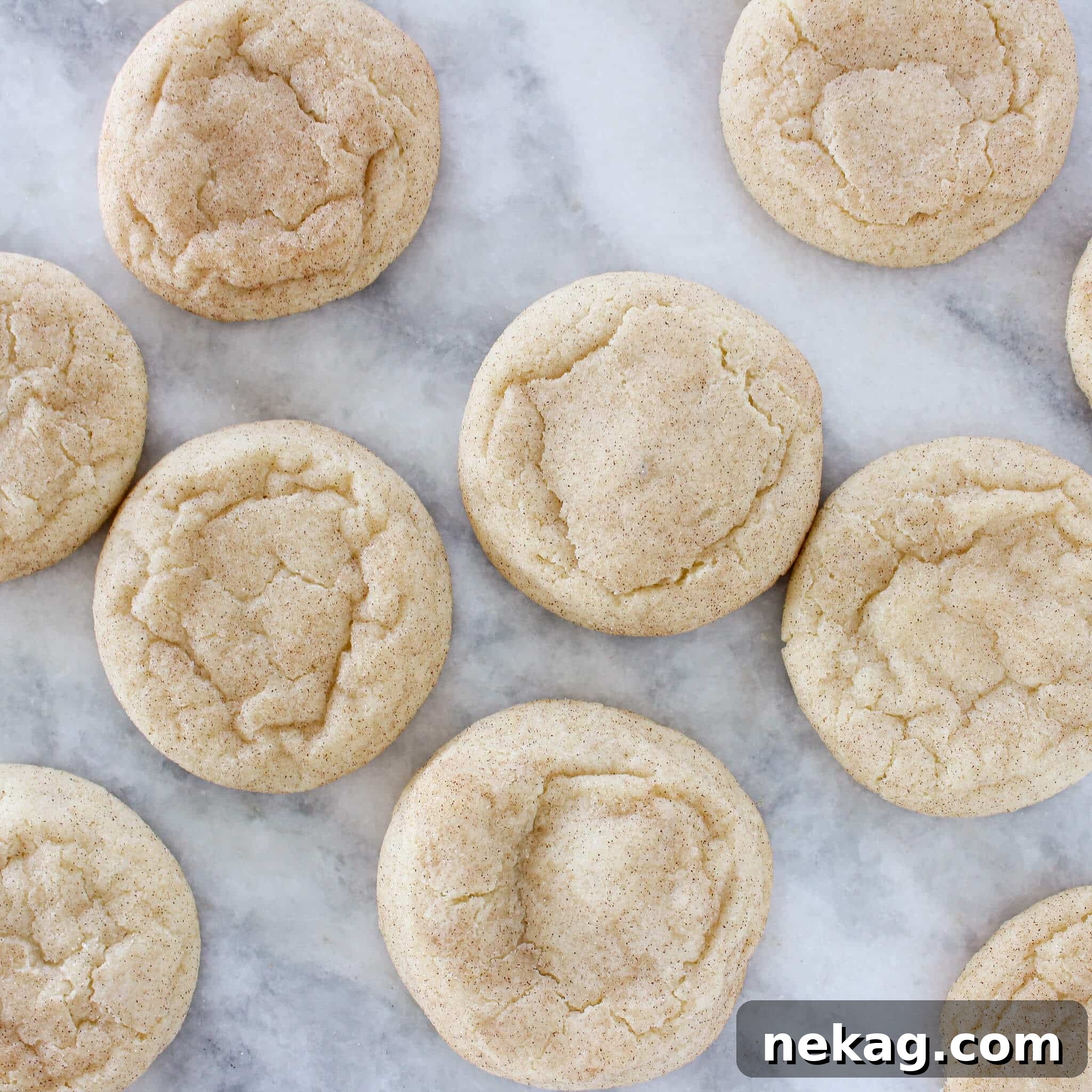 Irresistible Snickerdoodle Delights 5 Snickerdoodle Cookies on marble.