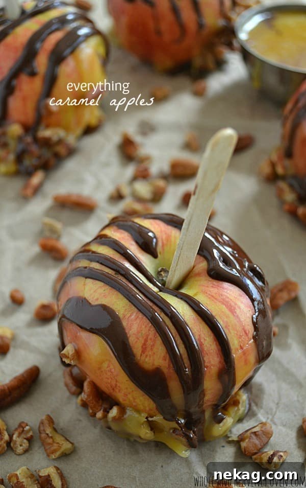 Decadent Pumpkin Spice Cheesecake Donuts 12 Gourmet Everything Caramel Apples, coated in various toppings.