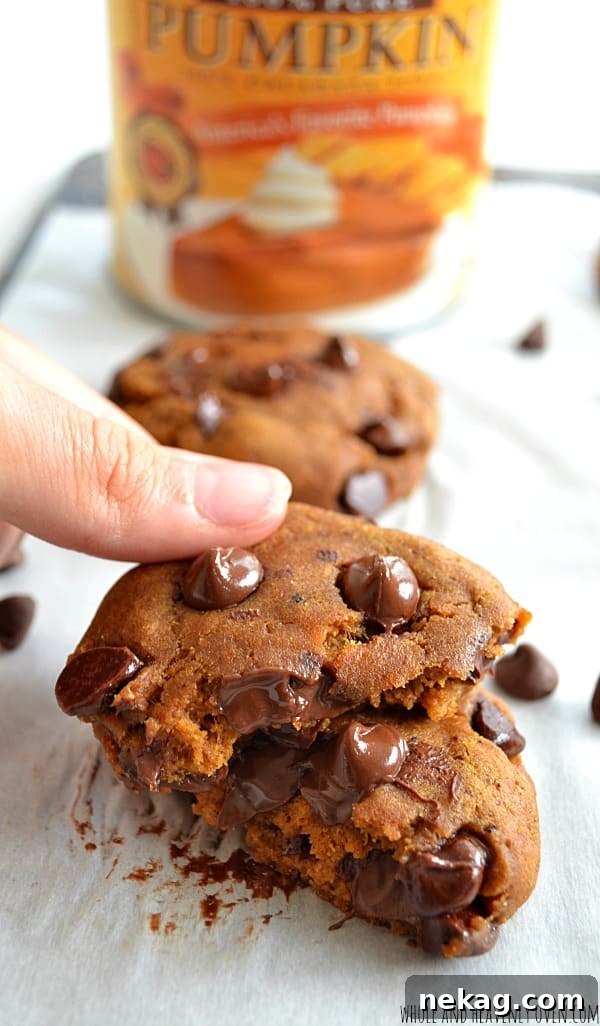 Decadent Pumpkin Spice Cheesecake Donuts 10 Soft and chewy Pumpkin Chocolate Chip Cookies, a perfect fall treat.