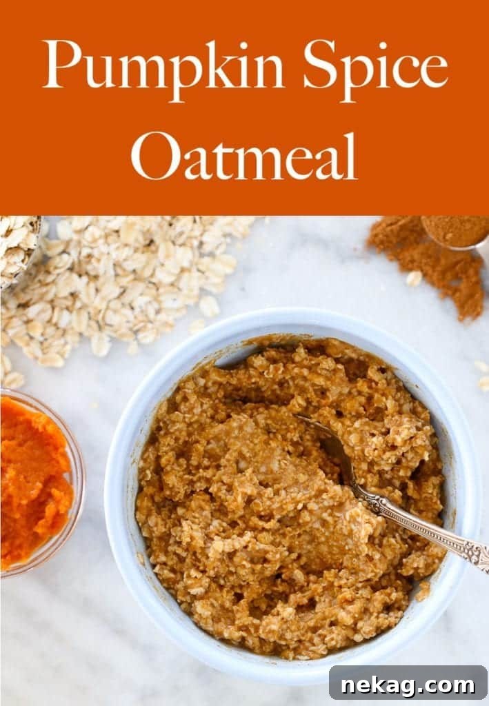 This pumpkin spice oatmeal is like warm hug on a chilly day! 