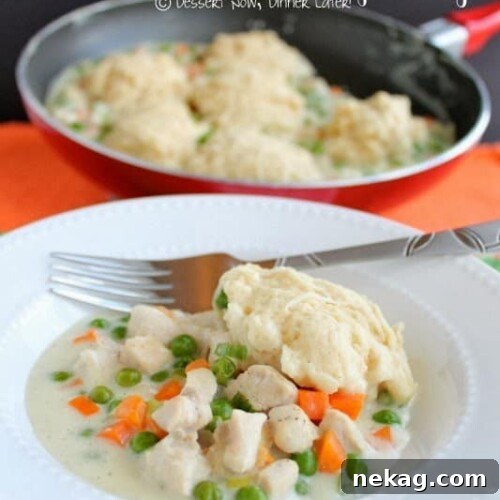Skillet Chicken and Dumplings - finished dish with rich sauce and fluffy biscuits