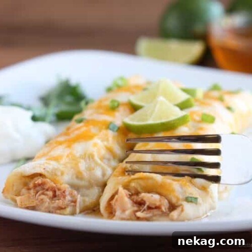 Final Honey Lime Chicken Enchiladas dish