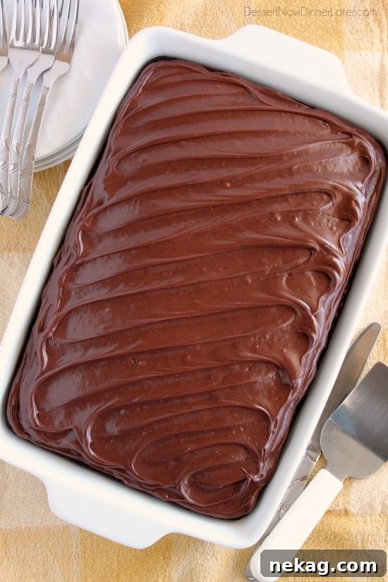 Close-up of Heavenly Chocolate Cake with generous chocolate cream cheese frosting, ready to be served. From DessertNowDinnerLater.com