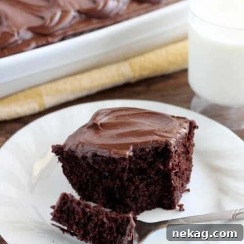Heavenly Chocolate Cake from DessertNowDinnerLater.com