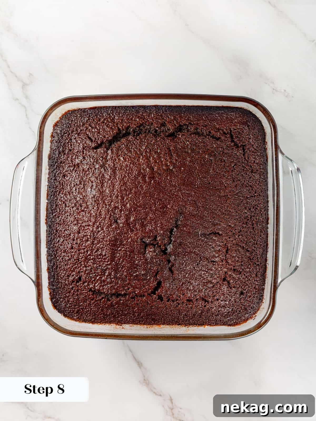 Whole gingerbread cake cooled slightly in its baking dish before slicing into squares.