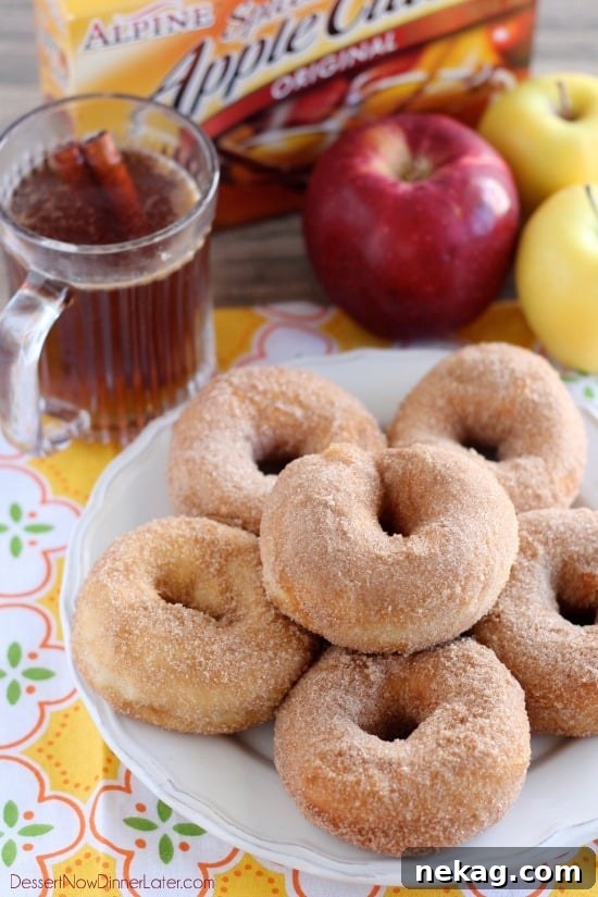 Spiced Apple Cider Donuts 2 Delicious, fall-inspired Apple Cider Donuts made with only 3 ingredients. From DessertNowDinnerLater.com