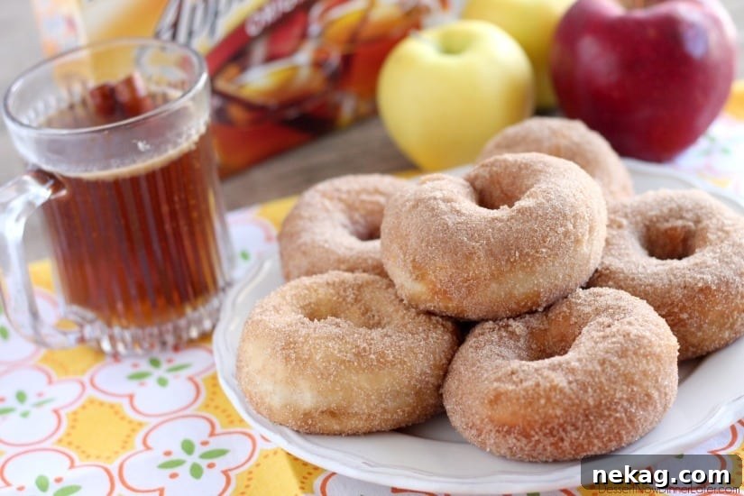 Spiced Apple Cider Donuts 3 Close-up of freshly fried Apple Cider Donuts, coated in a cinnamon-sugar like apple cider seasoning.