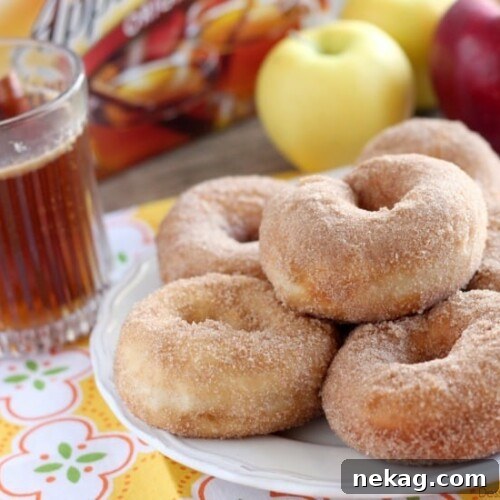 Plate of homemade Apple Cider Donuts, ready to serve.