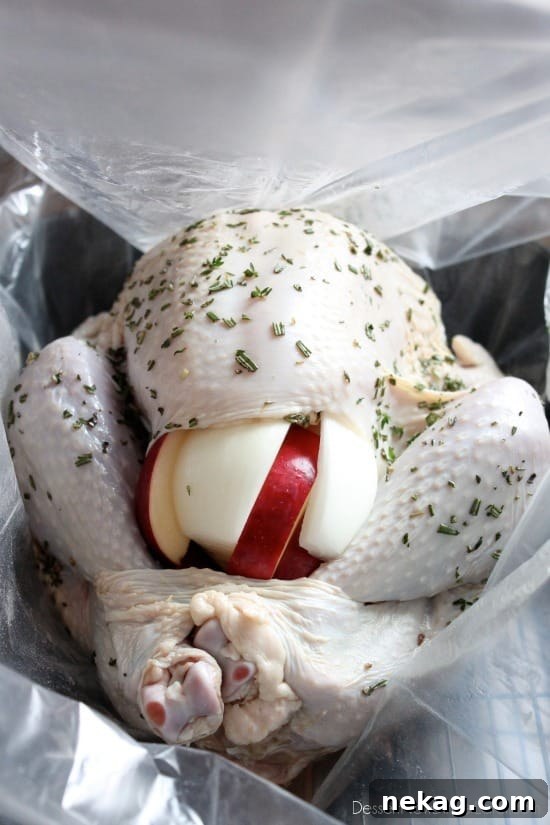 Our favorite Apple and Herb Turkey Brine with step-by-step photos on how to brine and cook a turkey to juicy perfection! From DessertNowDinnerLater.com