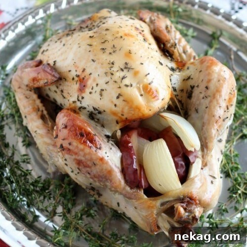Our favorite Apple and Herb Turkey Brine with step-by-step photos on how to brine and cook a turkey to juicy perfection! From DessertNowDinnerLater.com