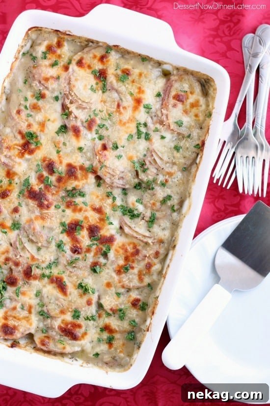 Close-up of baked Tuscan Scalloped Potatoes, showcasing the golden-brown cheese topping and tender potato layers.