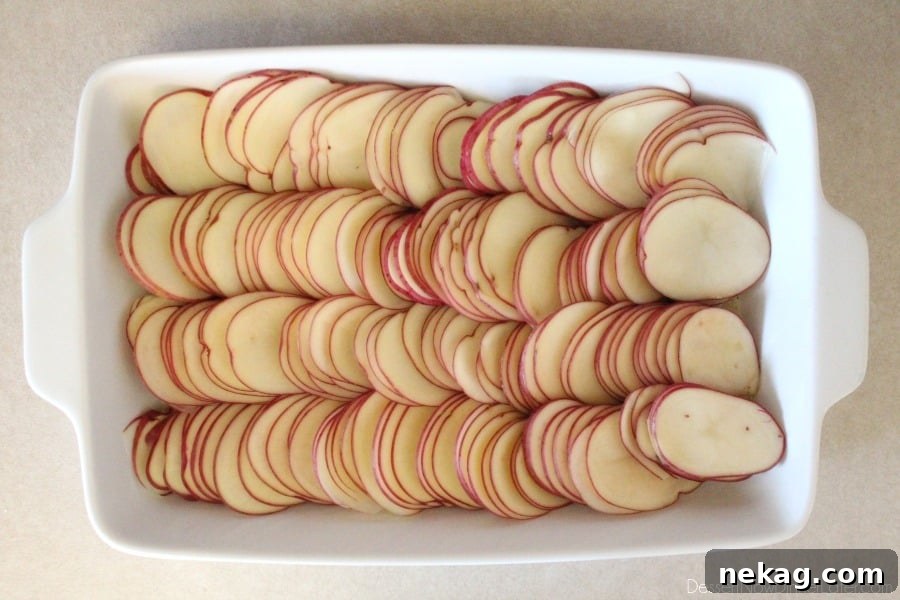 Thinly sliced potatoes being layered in a greased baking dish over a thin layer of Tuscan cream sauce.