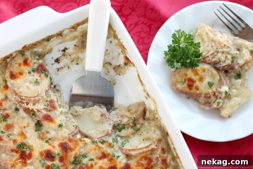 Finished Tuscan Scalloped Potatoes, baked to a golden brown with bubbling cheese, garnished with fresh parsley.
