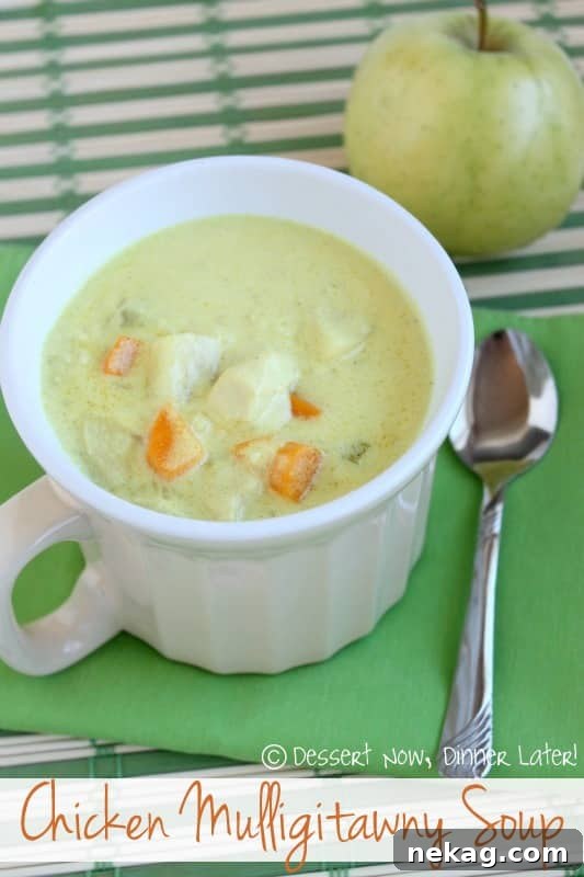 Heartwarming Chicken Mulligatawny Soup with rich curry flavors
