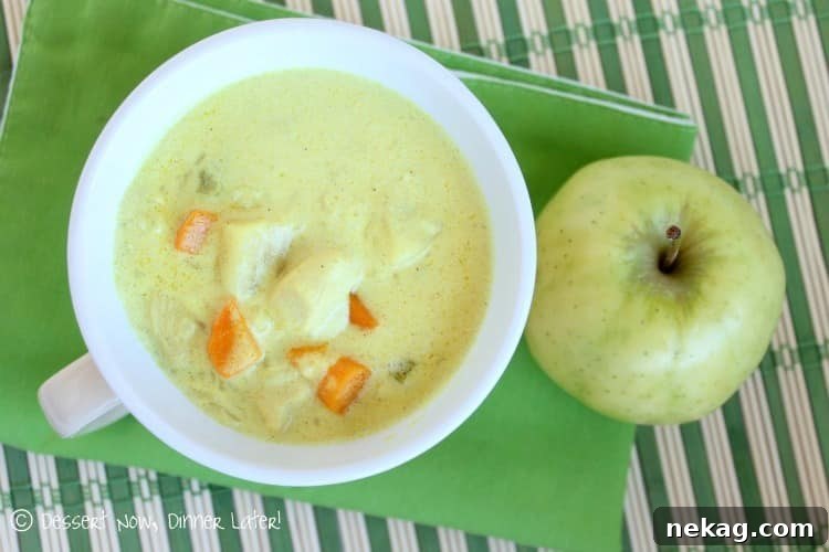 Close-up of Chicken Mulligatawny Soup, showing chicken, rice, and apple chunks