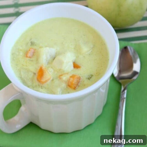 Chicken Mulligatawny Soup ready to be served