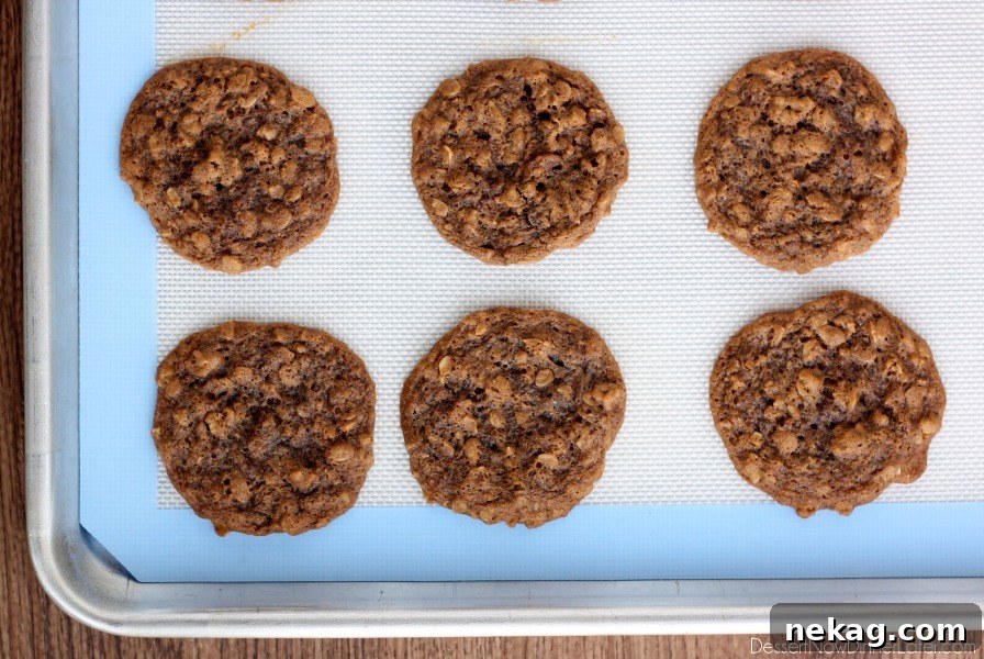 Baked Gingersnap Oatmeal Cookies cooling on a baking sheet, fresh from the oven.