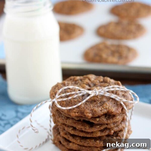 Gingersnap Oatmeal Cookies - Soft baked gingersnap cookies with the addition of old fashioned oats to make a chewy, delectable cookie! From DessertNowDinnerLater.com