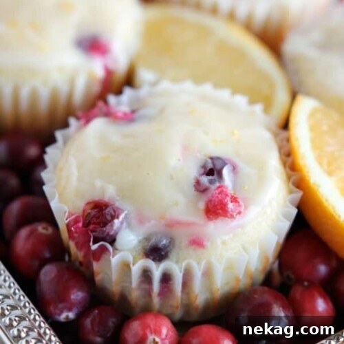 Homemade Cranberry Orange Muffins with plump, fresh cranberries, orange juice and zest, topped with an orange glaze!