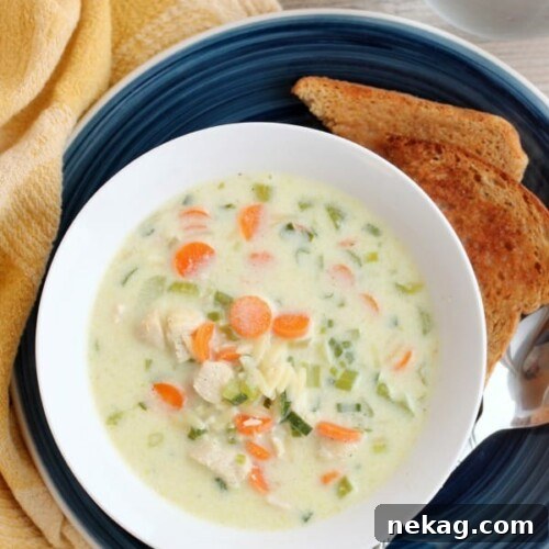 A beautiful bowl of homemade Chicken Orzo Soup ready to be enjoyed.