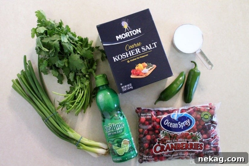 A selection of fresh ingredients laid out, including vibrant red cranberries, green jalapeños, green onions, and cilantro, ready for making Cranberry Salsa. From DessertNowDinnerLater.com