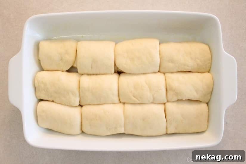 Parker House rolls risen in the baking dish, ready for baking