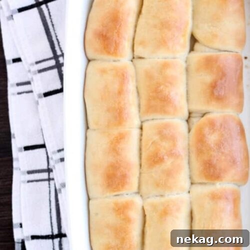 These Parker House Dinner Rolls are easy enough for beginners! With step-by-step photos, you will see just how simple it is to create these soft, buttery dinner rolls! From DessertNowDinnerLater.com