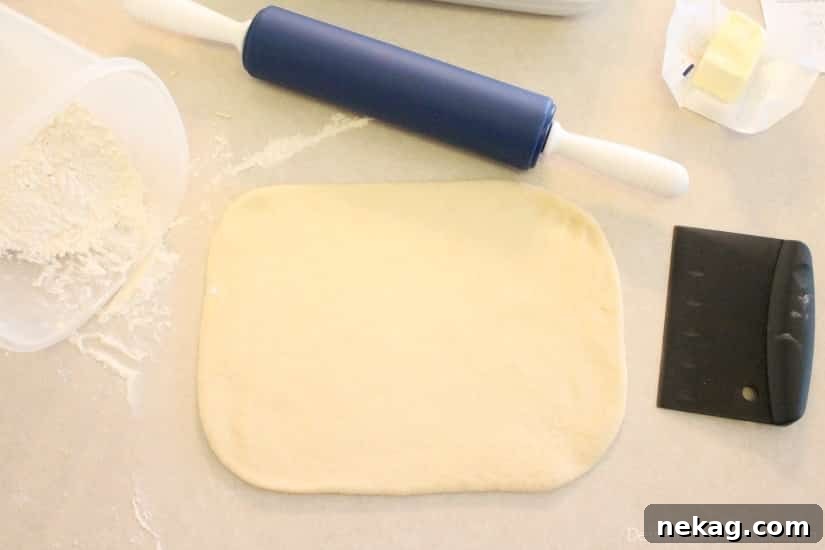 Dough rolled into a large rectangle on a surface