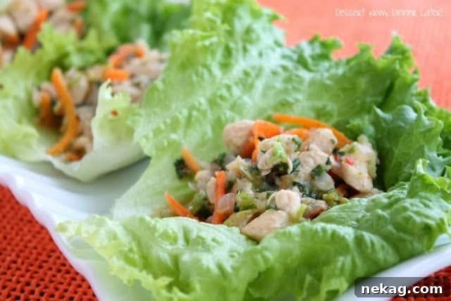 Vibrant Thai Chicken Lettuce Wraps 4 Close-up of a serving of Thai Chicken Lettuce Wraps, showcasing the vibrant filling and crisp lettuce leaves, inviting viewers to enjoy a healthy and flavorful meal.
