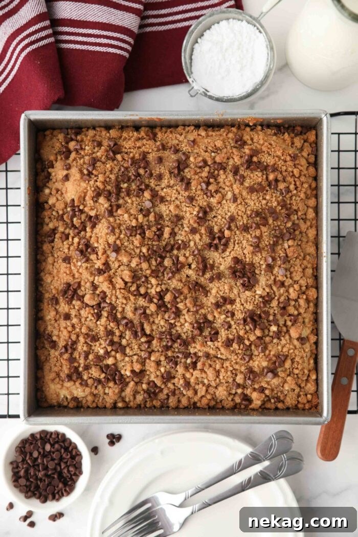 Decadent Chocolate Chip Coffee Cake 4 Top-down view of a freshly baked chocolate chip coffee cake in a square pan, showcasing the golden-brown crumb topping.