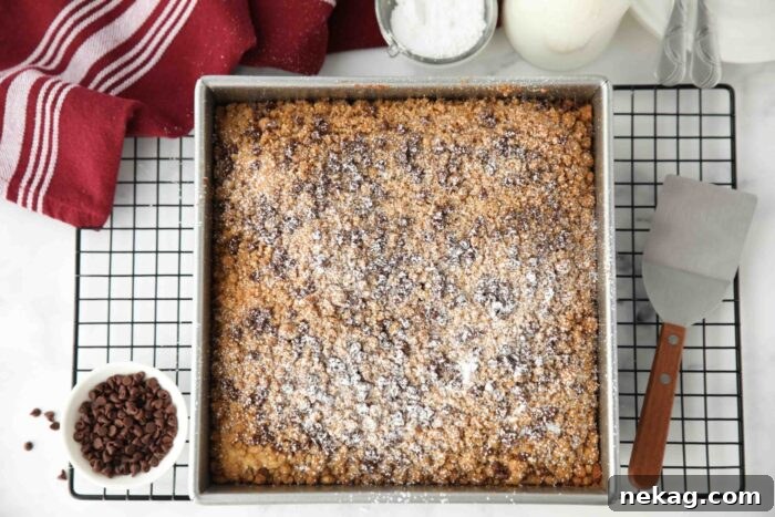 Decadent Chocolate Chip Coffee Cake 9 A close-up of the baked chocolate chip crumb cake in its pan, lightly dusted with powdered sugar.