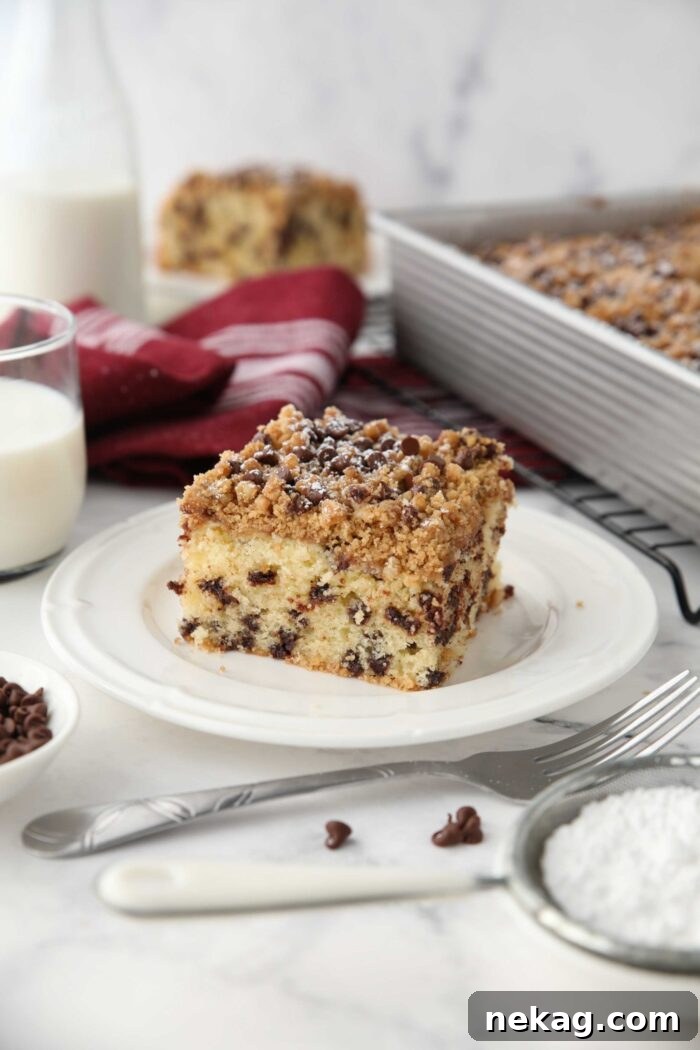 Decadent Chocolate Chip Coffee Cake 10 A perfectly portioned square slice of chocolate chip crumb cake on a plate, ready to be enjoyed.