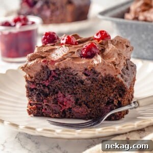 Moist chocolate cake slice with cherries visible throughout interior, showcasing its tender crumb.