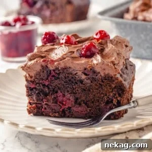 Moist chocolate cake slice with cherries visible throughout interior, emphasizing its deliciousness.
