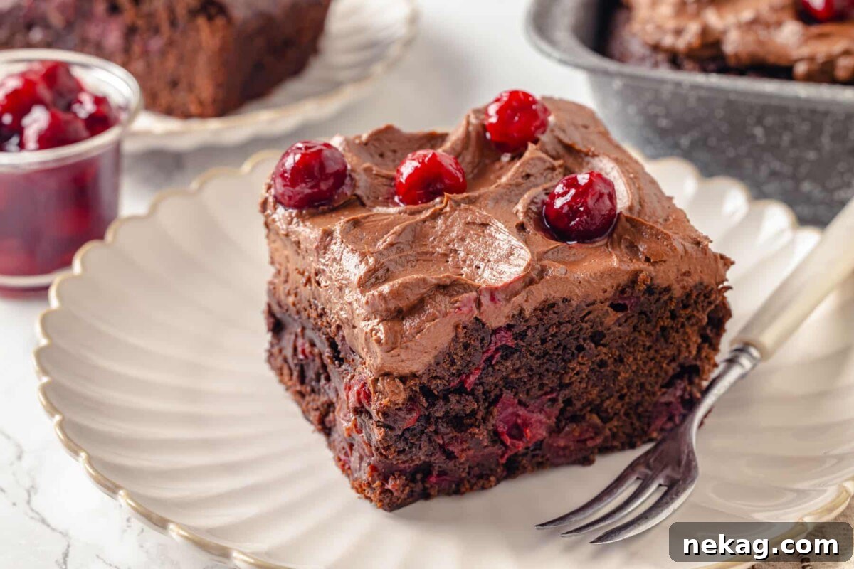 Moist chocolate cherry cake slice showing cherries baked inside and extra cherries on top, ready to be enjoyed.