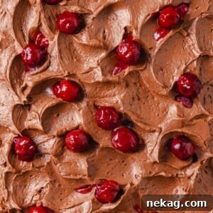 Fluffy chocolate cream cheese frosting with a scattering of fresh cherries, hinting at its rich texture.