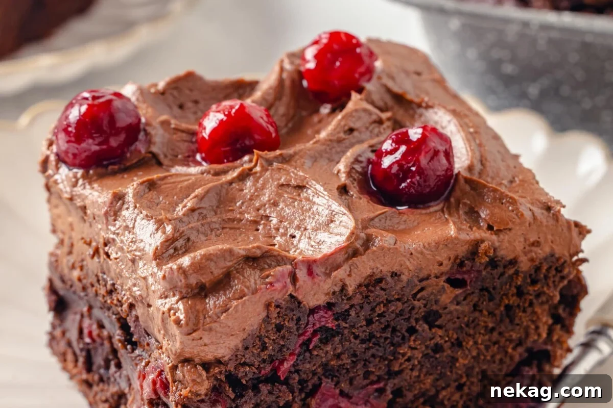 A slice of frosted chocolate cake, elegantly topped with fresh cherries and featuring a gently textured icing surface.