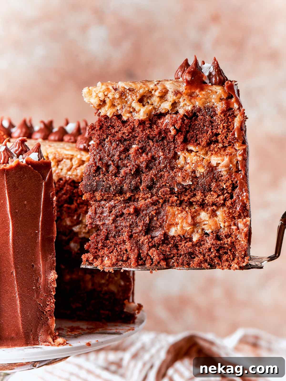 Cut cake showing distinct layers of tender chocolate crumb and ganache.