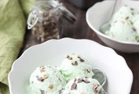 Creamy Mint Chocolate Chip Ice Cream Recipe You’ll Love