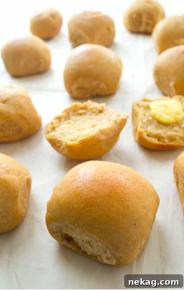 Overnight-Dinner-Rolls