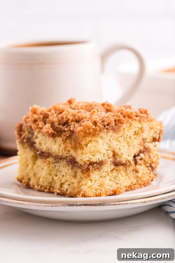 Cinnamon Coffee Cake Recipe with Step-by-Step Video 2 Slice of cinnamon coffee cake on a plate with a layer of cinnamon streusel in the middle and on top.