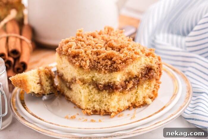 Cinnamon Coffee Cake Recipe with Step-by-Step Video 11 Cinnamon coffee cake on a plate with a forkful taken out.
