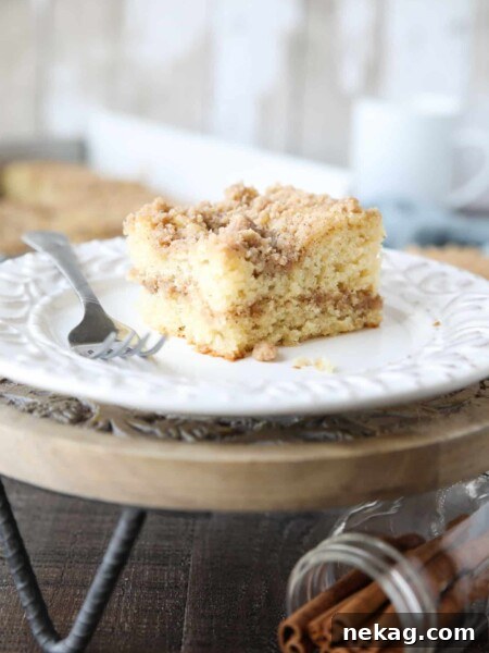 Cinnamon Coffee Cake Recipe with Step-by-Step Video 13 Close up of a slice of sour cream coffee cake on a plate with a line of cinnamon streusel in the center of the cake and more streusel on top.