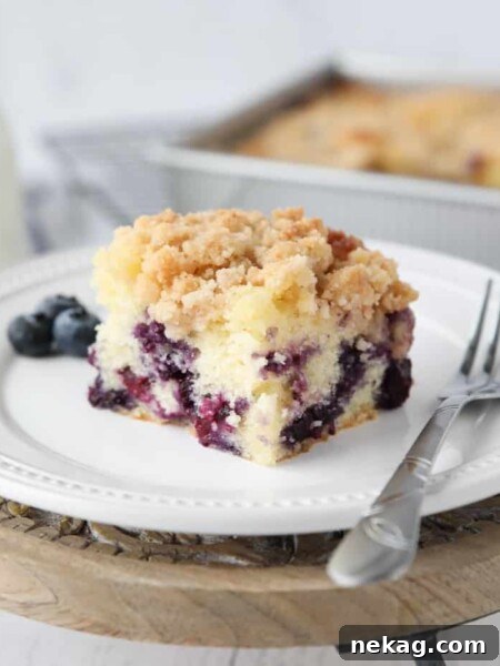 Cinnamon Coffee Cake Recipe with Step-by-Step Video 15 Slice of blueberry streusel coffee cake on a plate.