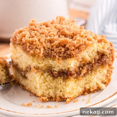 Cinnamon Coffee Cake Recipe with Step-by-Step Video 16 Cinnamon crumb cake on a plate with a forkful taken out and a cup of coffee in the background.