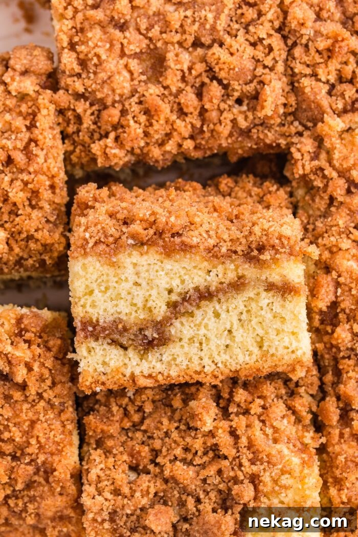 Cinnamon Coffee Cake Recipe with Step-by-Step Video 3 Cinnamon coffee cake in a pan with one slice on its side showing a layer of cinnamon streusel in the middle and on top.