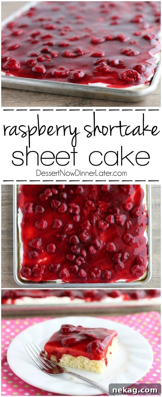 Raspberry Shortcake Sheet Cake Recipe — Light Summer Dessert 6 This EASY and delicious Raspberry Shortcake Sheet Cake is layered with light, fluffy white cake, topped with whipped cream cheese frosting and a fresh raspberry glaze! Perfect for parties, potlucks, or a Valentine's Day dessert!